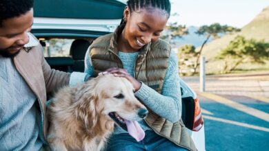 5 ways to help your dog live a happy and healthy life