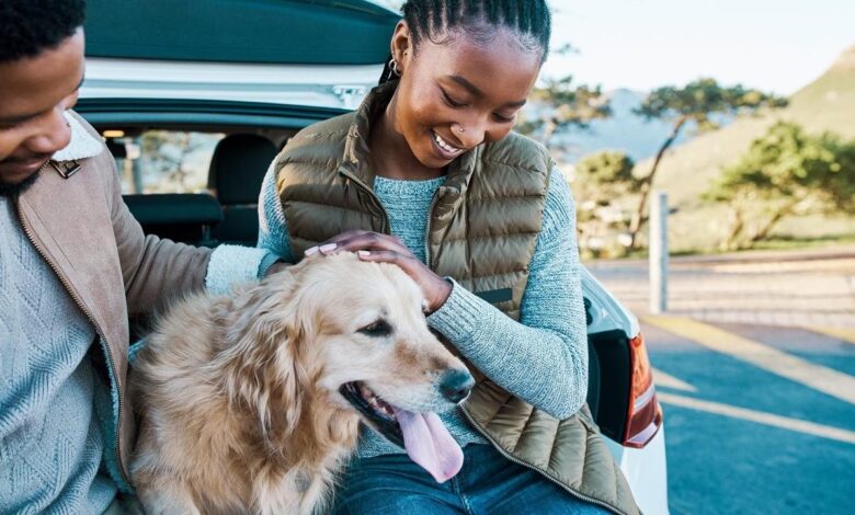 5 ways to help your dog live a happy and healthy life