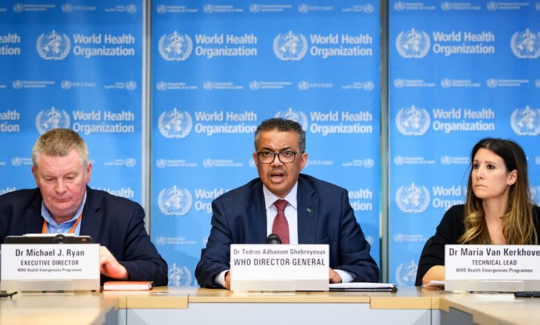 Why the WHO finally declared monkeypox a global public health emergency