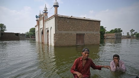 Pakistan floods show need for action on climate finance, say developing countries