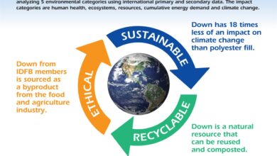 The sustainability of down wins out among the rest [Infographic]