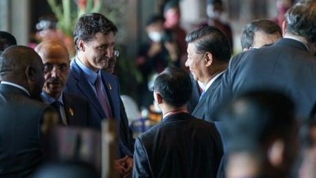 China's leader scolded Trudeau in public. It reveals a lot about what Xi Jinping thinks of Canada