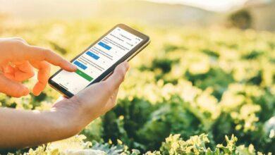 Data's important role in creating a sustainable agricultural supply chain