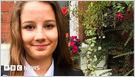 The UK plans to criminalize self-harm content in the updated Online Safety Bill, in line with suicide content, after the death of teenager Molly Russell in 2017 (Charley Adams/BBC)