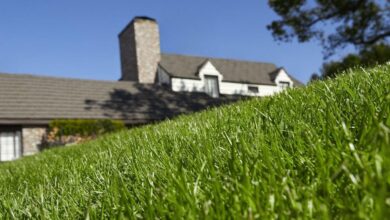 Are you making these 5 common spring lawn care mistakes?