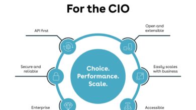Revenue Lifecycle Cloud