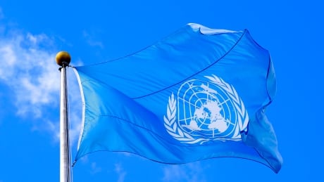 After dismal start, UN hosts 'halftime summit' in bid to save development plan