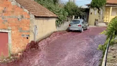 Cascades of red wine flood a city's streets in Portugal after huge tanks rupture