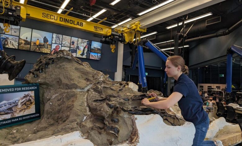 'Dueling Dinosaurs:' One-of-a-kind dig, laboratory access at Raleigh science museum