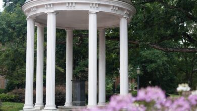 UNC System may eliminate diversity goals and jobs at 17 campuses across the state