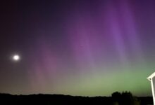 'Once in a lifetime:' Northern Lights fill NC skies with spectacular green and purple auroras