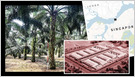 Malaysia's Johor state is attracting billions of dollars as tech giants take advantage of cheaper land and more abundant energy to build data centers (Mercedes Ruehl/Financial Times)