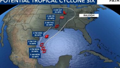 Hurricane season 2024: New system forming in Atlantic likely to become Francine