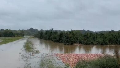 Western NC impacts: Biltmore Village flooded, Blue Ridge Parkway closed, thousands lose power