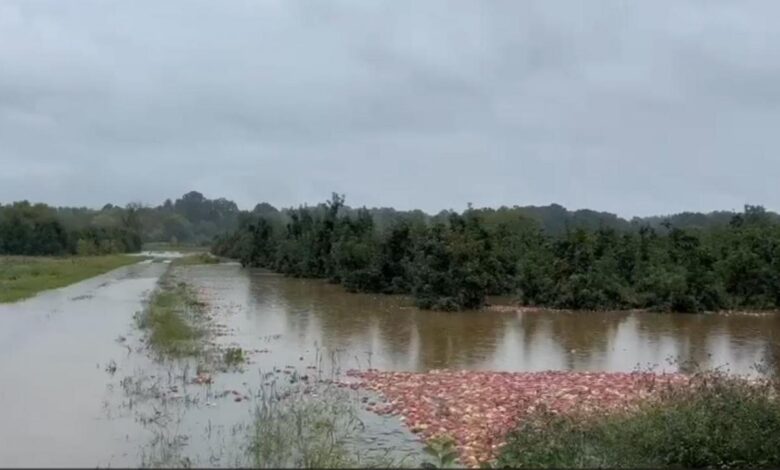 Western NC impacts: Biltmore Village flooded, Blue Ridge Parkway closed, thousands lose power