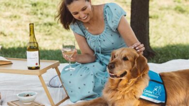 What your dog breed pick reveals about your taste in wine