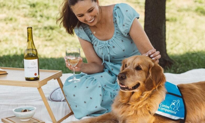 What your dog breed pick reveals about your taste in wine