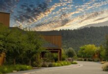 Napa's quiet season: Where to stay, dine and unwind this fall