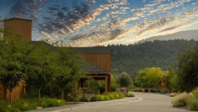 Napa's quiet season: Where to stay, dine and unwind this fall