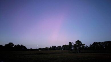 Northern lights visible in the NC skies