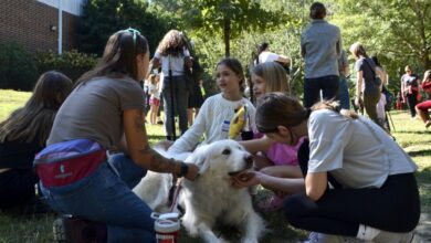 Post-Helene, mental health providers help kids cope 