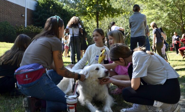 Post-Helene, mental health providers help kids cope 