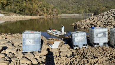 With Asheville water nearly restored, workers focus on stabilizing leaks, breaks in system