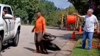 Caught on camera: Man goes on minutes-long racist rant against utility workers in Raleigh neighborhood