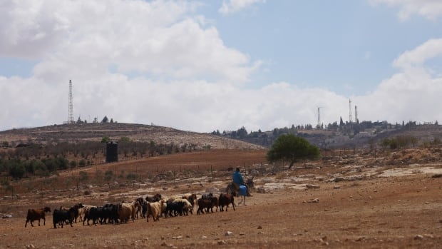 Trump victory a boon to Israeli settlers who hope to annex West Bank