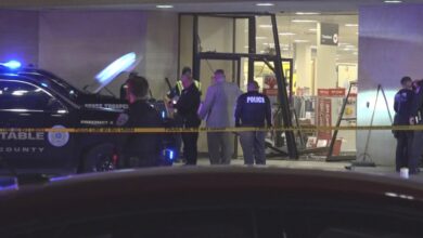 Pickup truck driver killed by police after driving through Texas mall and injuring 5