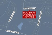 Raleigh officer fatally shoots dog on Christmas Eve