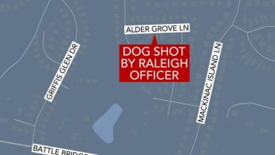 Raleigh officer fatally shoots dog on Christmas Eve