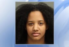 Warrants: Mom left 6-week-old baby in car in Raleigh in 40-degree weather, hit infant