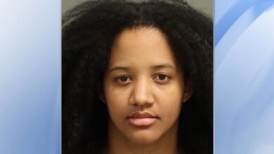 Warrants: Mom left 6-week-old baby in car in Raleigh in 40-degree weather, hit infant