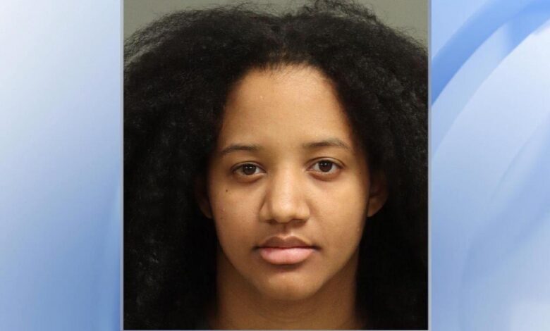 Warrants: Mom left 6-week-old baby in car in Raleigh in 40-degree weather, hit infant