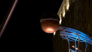 WRAL First Night Raleigh: Thousands gather for acorn drop, fireworks to ring in 2025