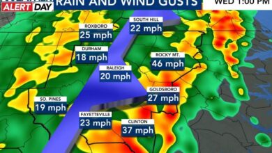 WRAL Weather Alert Day Wednesday: Heavy rain and gusty winds expected