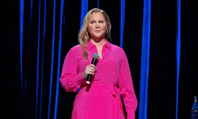 Amy Schumer Shares How Internet Comments Led to Cushing Syndrome Diagnosis