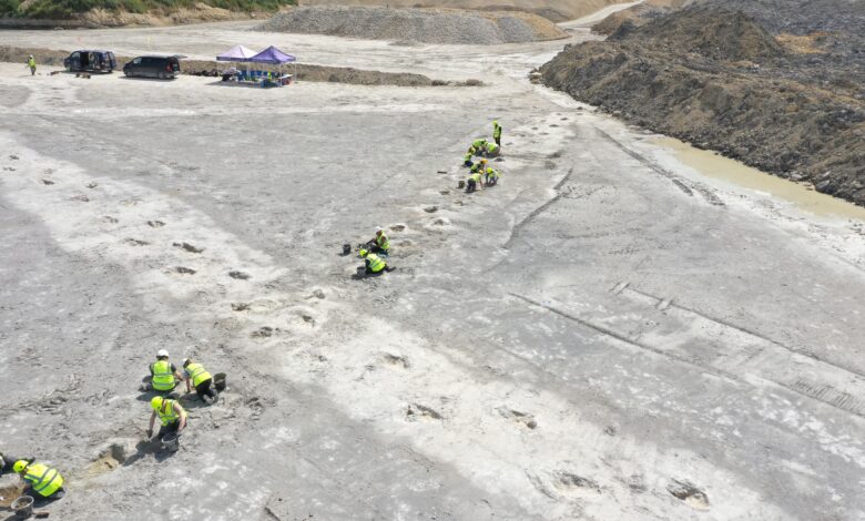 Jurassic footprints are discovered on a 'dinosaur highway' in southern England