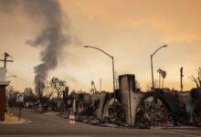 Lawsuits allege power company involvement in LA wildfires