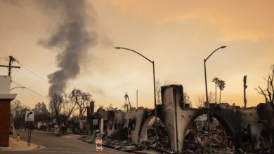 Lawsuits allege power company involvement in LA wildfires