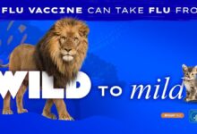 Trump administration yanks CDC flu vaccine campaign