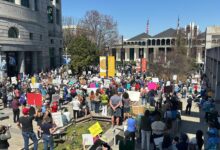 'Down with DOGE' rally draws hundreds to downtown Raleigh, protesting federal cuts