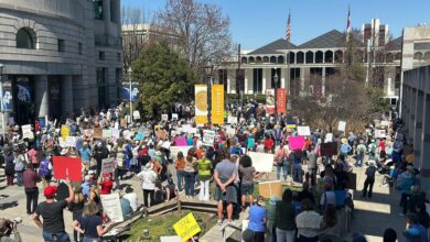 'Down with DOGE' rally draws hundreds to downtown Raleigh, protesting federal cuts