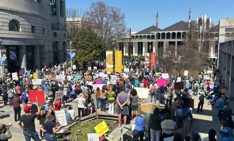 'Down with DOGE' rally draws hundreds to downtown Raleigh, protesting federal cuts