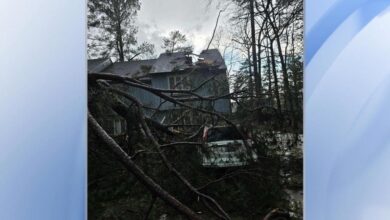 'My entire roof was gone': Strong storms, intense winds uproot trees and damage homes in Wilson