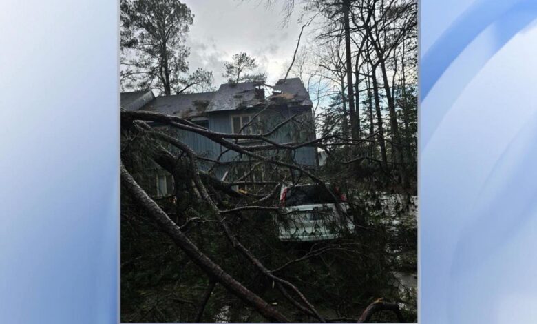 'My entire roof was gone': Strong storms, intense winds uproot trees and damage homes in Wilson