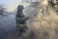 New York governor declares state of emergency for brush fires on Long Island