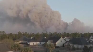 South Carolina's governor declares State of Emergency as massive wildfire grows to 1,600 acres