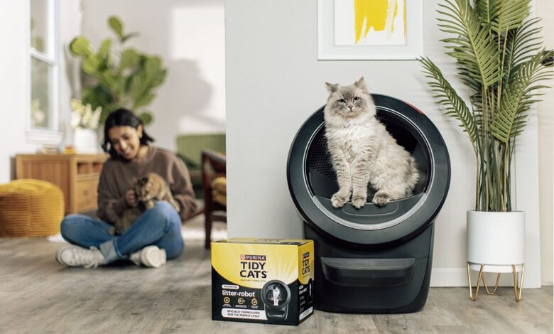 4 Easy Ways Busy Cat Owners Can Care for Their Felines